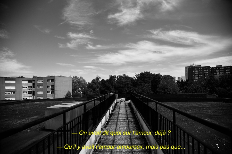 Photographier l’espace du dehors (36, avenue du&nbsp;Rêve)